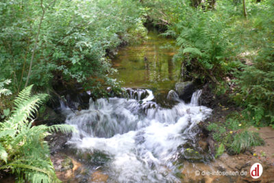 Rabenauer Grund