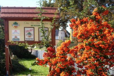 Schlenderweinprobe